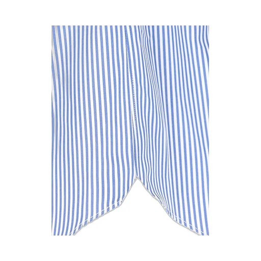Striped Dress Shirt