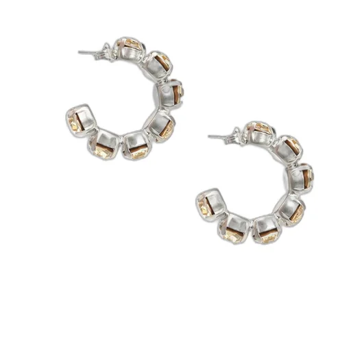 Semicircular Earrings