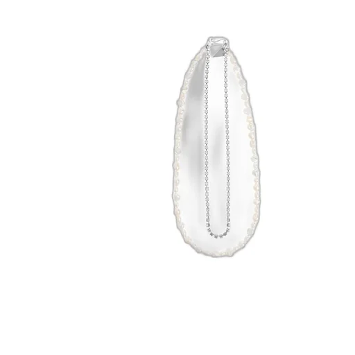 Double-Layer Necklace