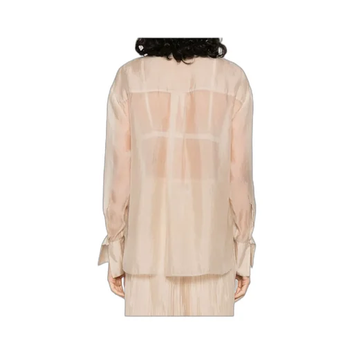 Sheer Shirt