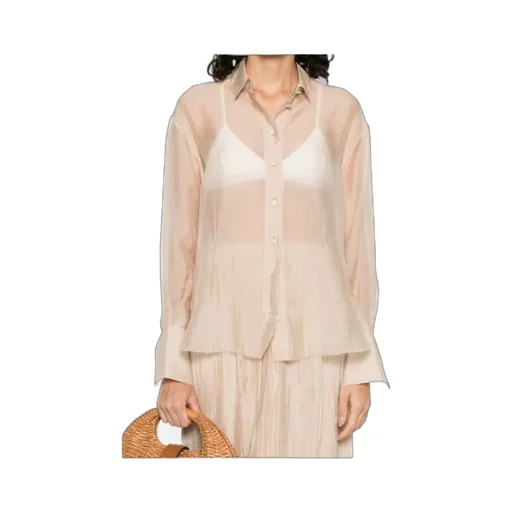 Sheer Shirt