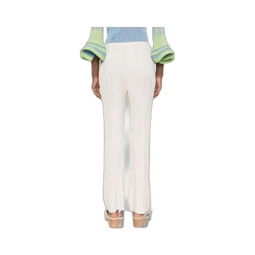 Pleated Trousers