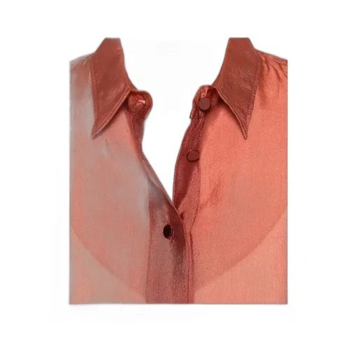 Contemporary Shirt In Organza