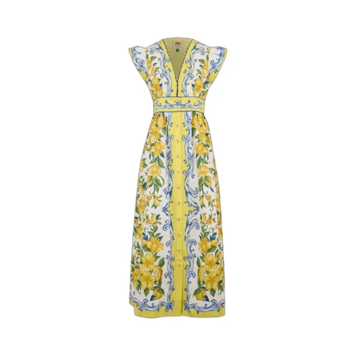 Butterfly Sleeve Dress