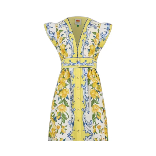 Butterfly Sleeve Dress