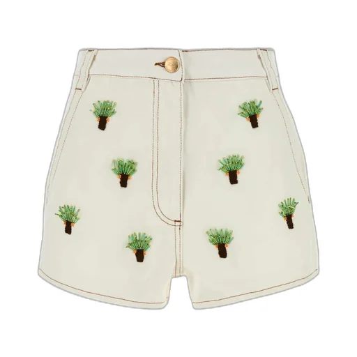 Belt Loop Shorts