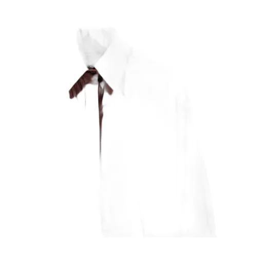 Classic Long Sleeve Shirt
