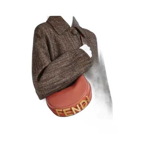 Fendigraphy Logo Plaque Mini Hobo Bag