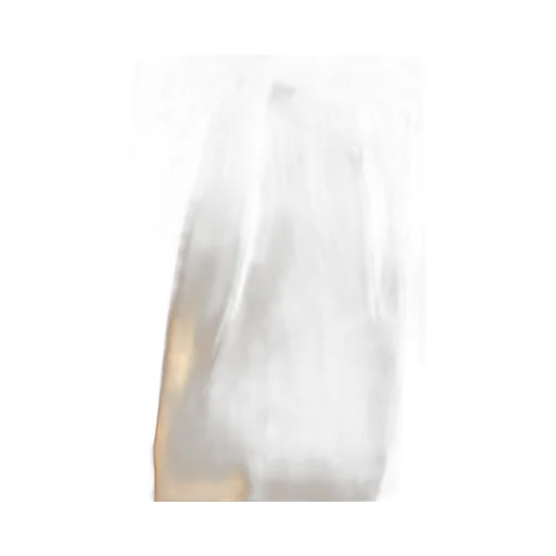 Pleated Long-Sleeved Blouse