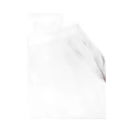 Pleat Flared Trousers