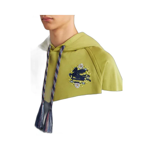Pegaso-Embroidered Two-Toned Drawstring Hoodie