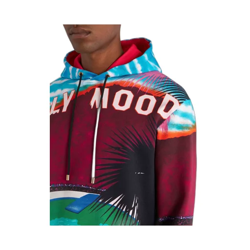 Graphic Printed Drawstring Hoodie