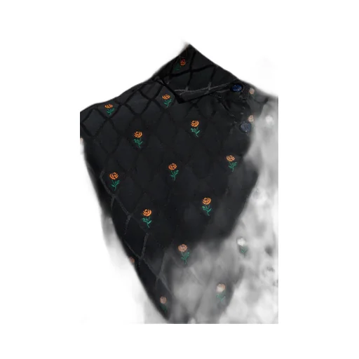 Floral Embroidered Shirt