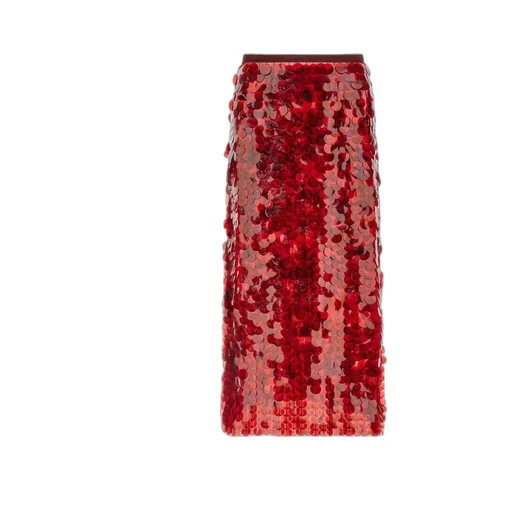 Sequin Flared Skirt