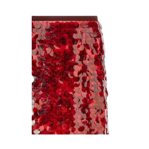 Sequin Flared Skirt