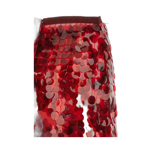 Sequin Flared Skirt