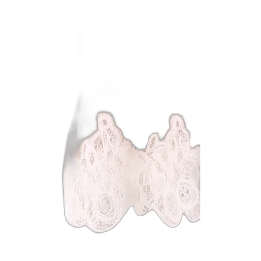 Lace Top