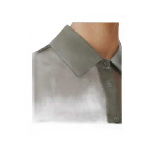 Organza Shirt
