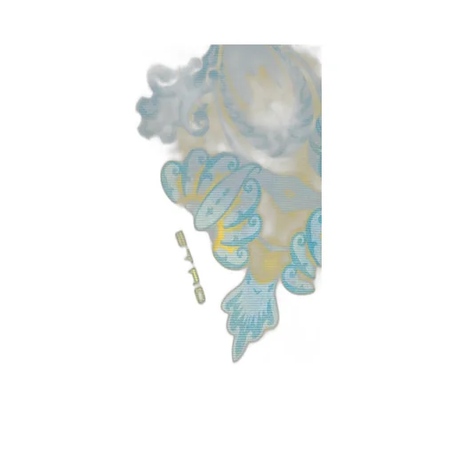 Stole With Paisley Print
