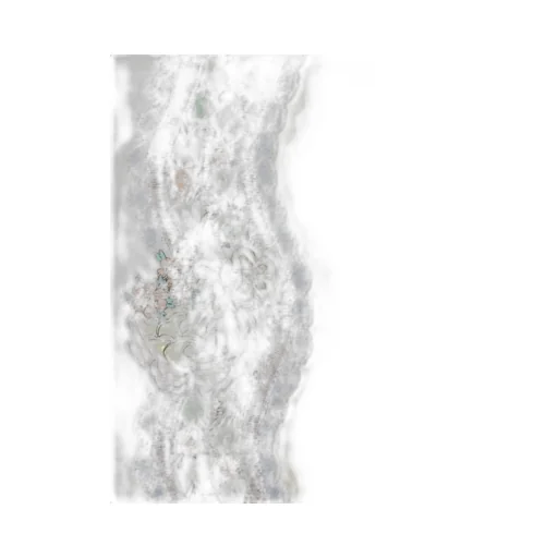 Printed Scarf