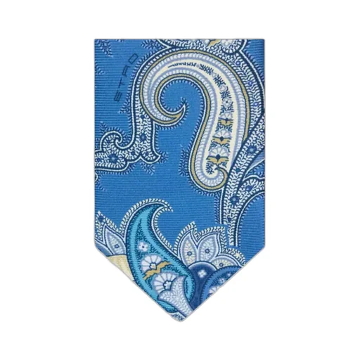 Paisley Printed Tie