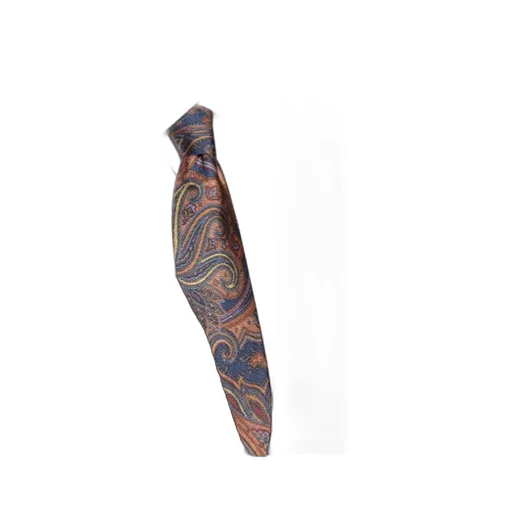 Paisley Printed Pointed-Tip Tie