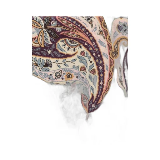 Paisley Print Frayed Edge Scarf