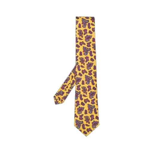Paisley Tie