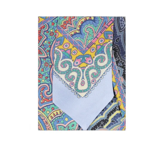 Paisley Printed Satin Scarf