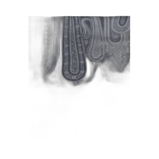 Paisley Printed Fringed Scarf