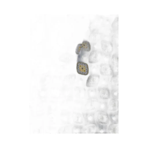 Logo Button-Down Shirt