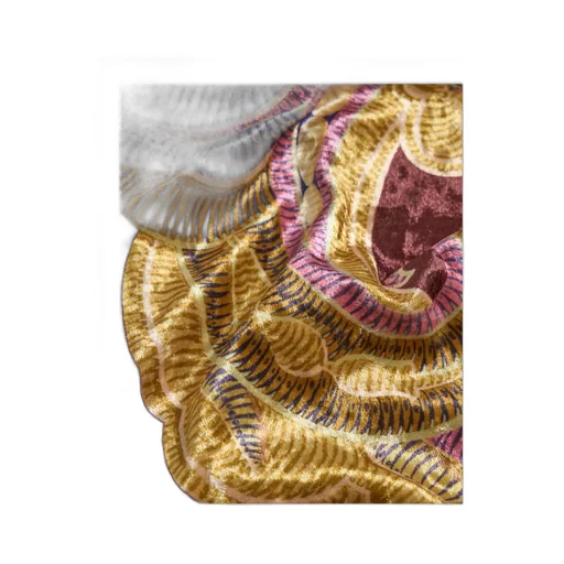 Paisley Printed Flared Trousers