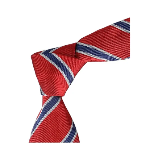 Logo Tie