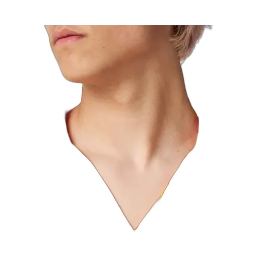 Short-Sleeved Shirt