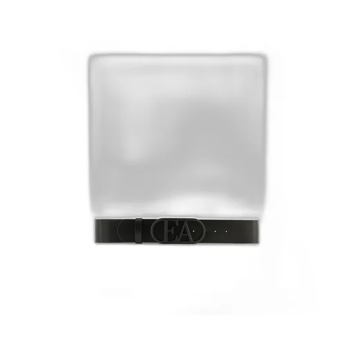 Logo Belt