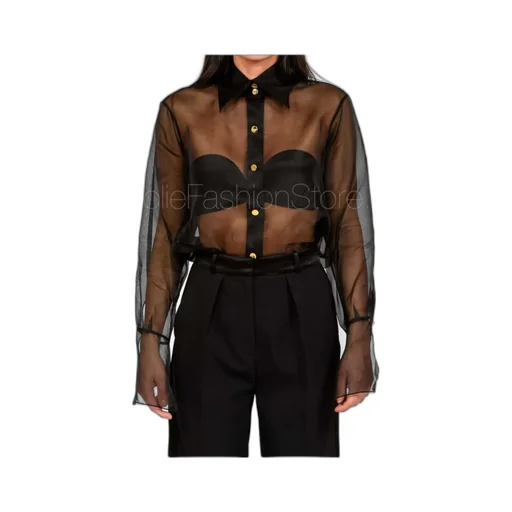 Sheer Blouse