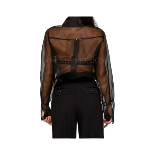 Sheer Blouse