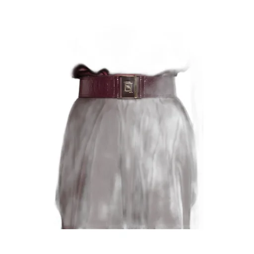 Belted Skirt
