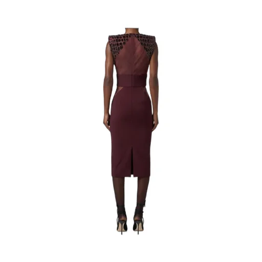 Lightweight CrÊPe Tulle Embroidered Dress
