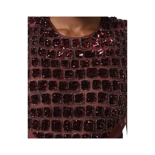 Lightweight CrÊPe Tulle Embroidered Dress