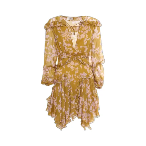 Ruffles Voile Printed Dress