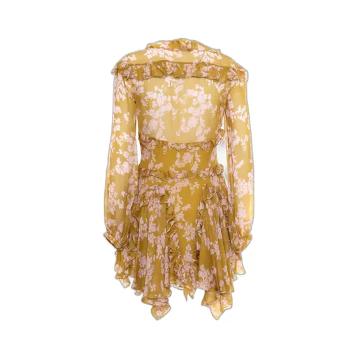 Ruffles Voile Printed Dress