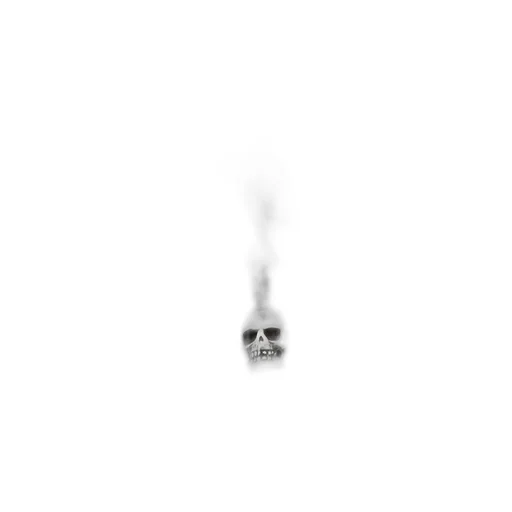 Rose And Skull Pendant Necklace