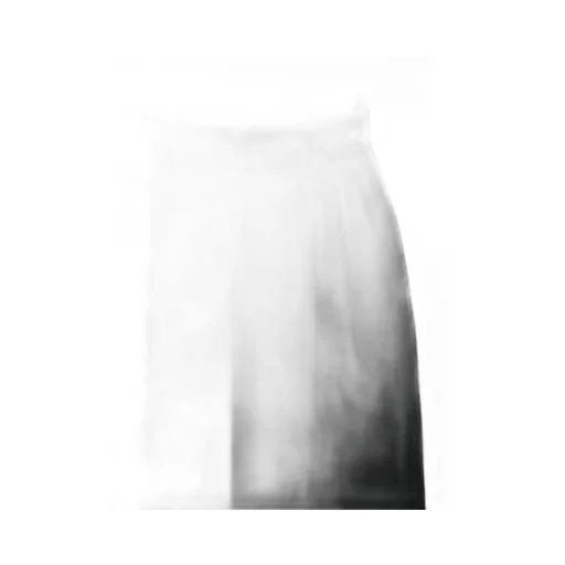 Pleated Wide-Leg Trousers