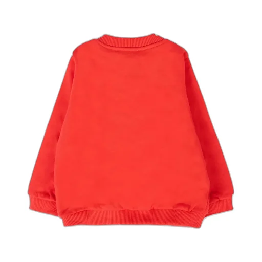 Bear Print Sweatshirt