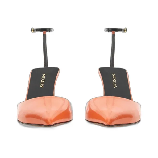 Toliman Chic Ankle Strap Pumps