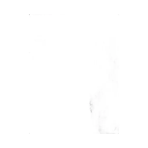 Wool T-Shirt