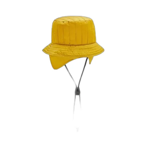 Logo Hat