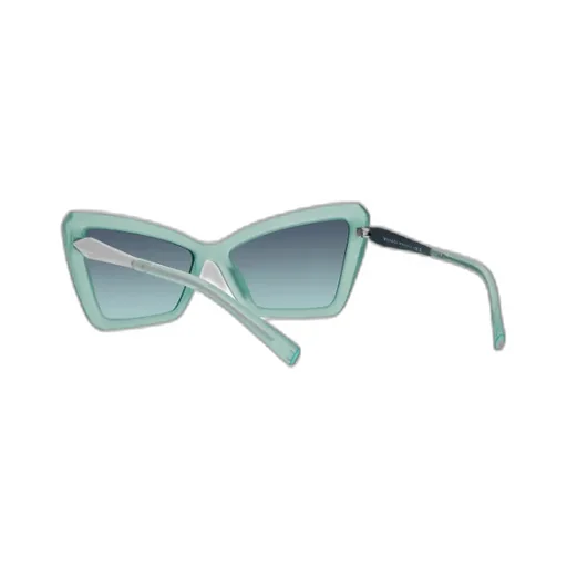 Cat-Eye Frame Sunglasses