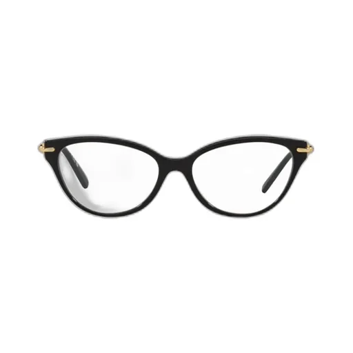 Cat-Eye Frame Glasses
